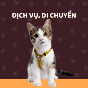 Dịch vụ, di chuyển
