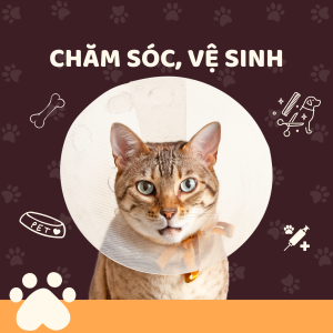 Chăm sóc, vệ sinh